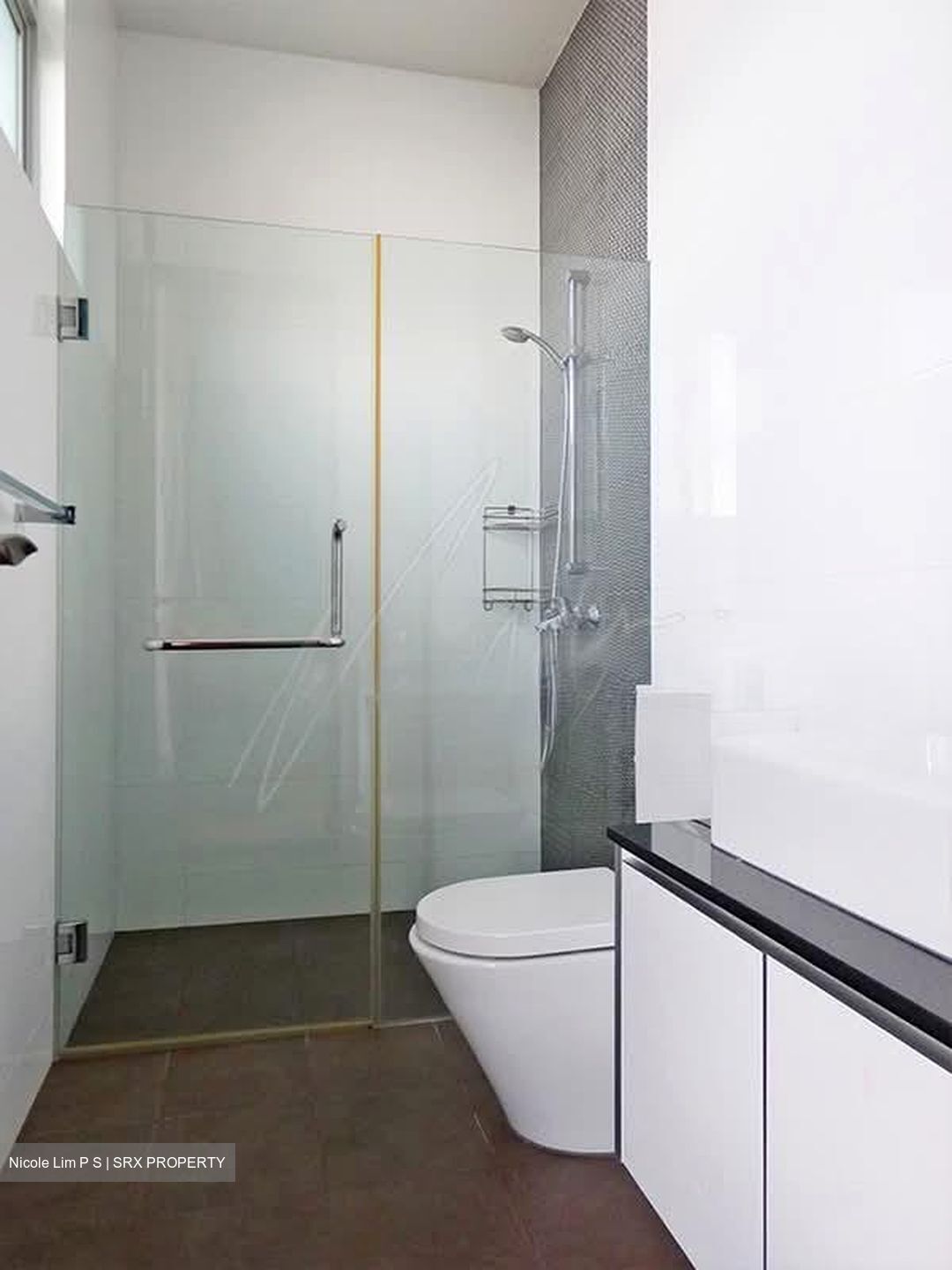 Serangoon Garden Estate (D19), Semi-Detached #570575881